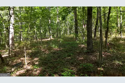 Lot 183 Hillside Drive, Clarkesville, GA 30523 - Photo 5
