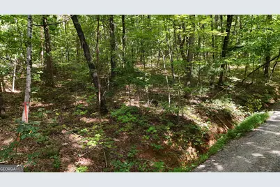 Lot 183 Hillside Drive, Clarkesville, GA 30523 - Photo 3