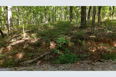 Lot 183 Hillside Drive, Clarkesville, GA 30523 - Photo 7