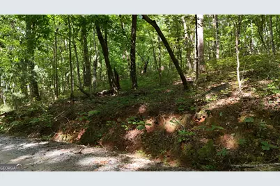Lot 183 Hillside Drive, Clarkesville, GA 30523 - Photo 9