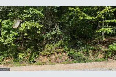 Lot 184 Hillside Drive, Clarkesville, GA 30523 - Photo 3