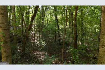 Lot 195 Fern Valley Trail, Clarkesville, GA 30523 - Photo 3