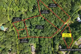 Lot 195 Fern Valley Trail, Clarkesville, GA 30523 - Photo 1
