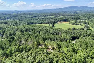 99 Loftis Mountain Trl, Blairsville, GA 30512 - Photo 49
