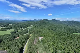 99 Loftis Mountain Trl, Blairsville, GA 30512 - Photo 51
