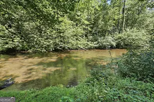 54 Dixon Ln, Clayton, GA 30525 - Photo 9