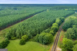235 Mt Hebron Rd, Coleman, GA 39836 - Photo 69