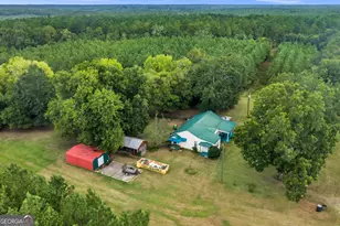 235 Mt Hebron Rd, Coleman, GA 39836 - Photo 37