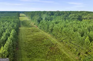 235 Mt Hebron Rd, Coleman, GA 39836 - Photo 57