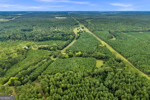 235 Mt Hebron Rd, Coleman, GA 39836 - Photo 41