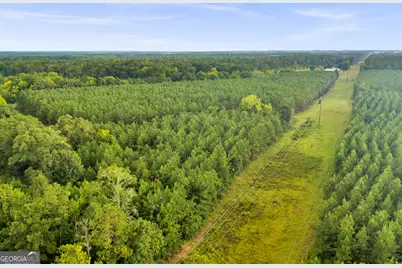 235 Mount Hebron Road, Coleman, GA 39836 - Photo 67