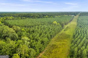 235 Mt Hebron Rd, Coleman, GA 39836 - Photo 67