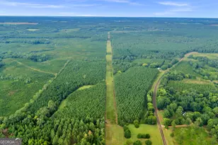 235 Mt Hebron Rd, Coleman, GA 39836 - Photo 81
