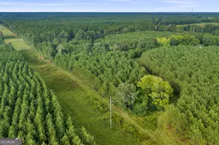 235 Mt Hebron Rd, Coleman, GA 39836 - Photo 55