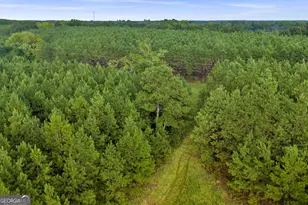 235 Mt Hebron Rd, Coleman, GA 39836 - Photo 59