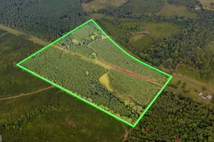 235 Mt Hebron Rd, Coleman, GA 39836 - Photo 3