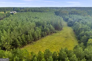 235 Mt Hebron Rd, Coleman, GA 39836 - Photo 63
