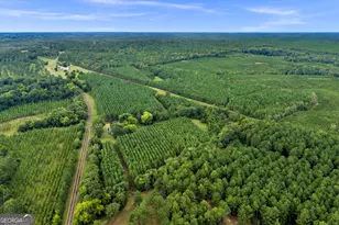 235 Mt Hebron Rd, Coleman, GA 39836 - Photo 39