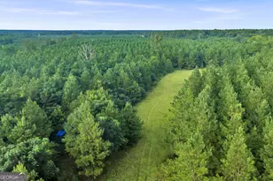 235 Mt Hebron Rd, Coleman, GA 39836 - Photo 65