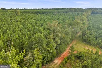 235 Mount Hebron Road, Coleman, GA 39836 - Photo 71