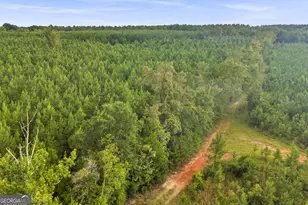 235 Mt Hebron Rd, Coleman, GA 39836 - Photo 71