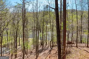 65 Dawn Ln, Ellijay, GA 30540 - Photo 15