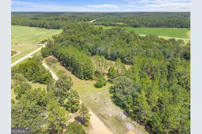 00 Buck Creek Road, Sylvania, GA 30467 - Photo 7
