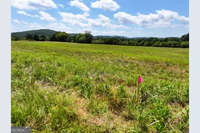 0 Buttermilk Road #TRACT 4, Cave Spring, GA 30124 - Photo 13