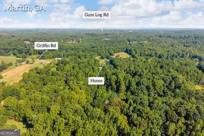 265 Griffin Road, Martin, GA 30557 - Photo 35