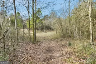 760 Fortson Compton Rd, Comer, GA 30629 - Photo 39