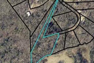 0 Rue De Cason May, Carnesville, GA 30521 - Photo 1
