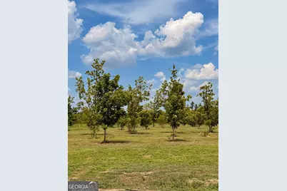 140 Ganas Road, Naylor, GA 31641 - Photo 3