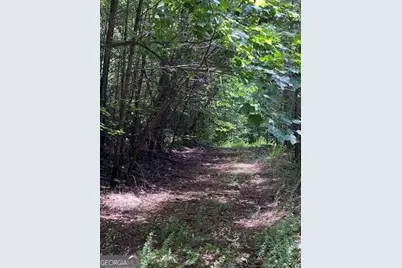 00 Seven Springs, Jasper, GA 30143 - Photo 11