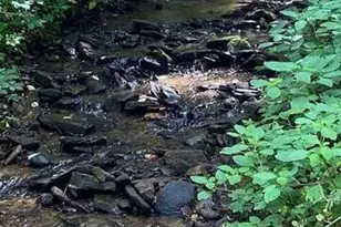 00 Seven Springs, Jasper, GA 30143 - Photo 1