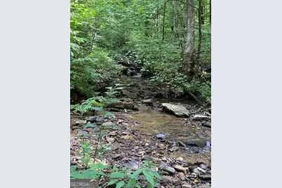 00 Seven Springs, Jasper, GA 30143 - Photo 5