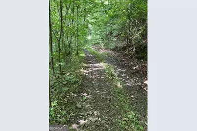 00 Seven Springs, Jasper, GA 30143 - Photo 13