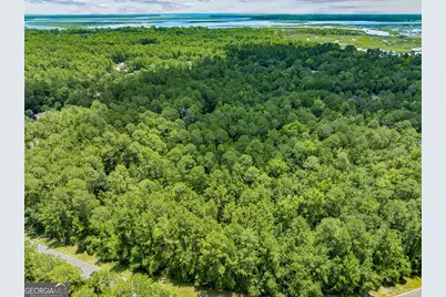 V/L 18 Lighthouse Circle, Woodbine, GA 31569 - Photo 5