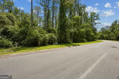 V/L 18 Lighthouse Circle, Woodbine, GA 31569 - Photo 15
