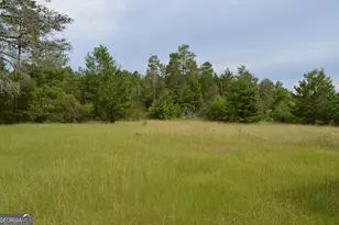 223 Carroll Rd, Roberta, GA 31078 - Photo 17