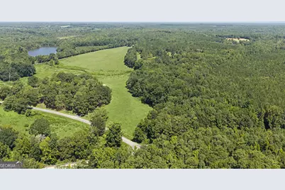 3545 Temple Dukes Road, Woodbury, GA 30293 - Photo 47