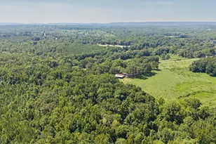 3545 Temple Dukes Rd, Woodbury, GA 30293 - Photo 57