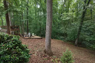 244 Skyline Way, Lavonia, GA 30553 - Photo 121