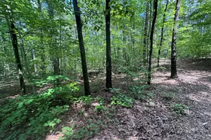 2996 Stokes Store Rd, Forsyth, GA 31029 - Photo 1