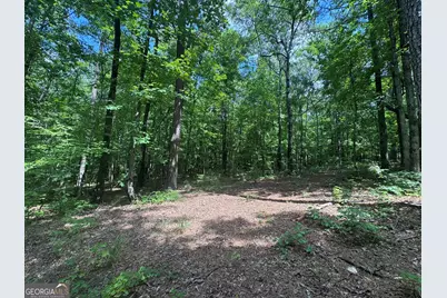 2996 Stokes Store Road, Forsyth, GA 31029 - Photo 3