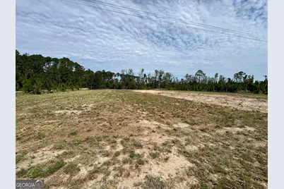 2096 Sellers Road NW, Baxley, GA 31513 - Photo 9
