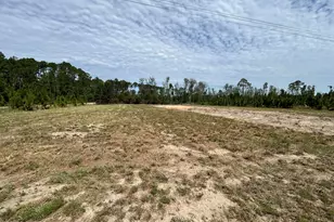 2096 Sellers Road NW, Baxley, GA 31513 - Photo 9