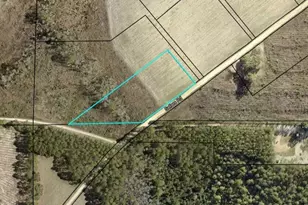 2096 Sellers Road NW, Baxley, GA 31513 - Photo 13