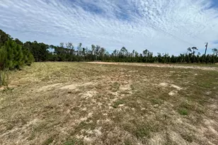 2096 Sellers Road NW, Baxley, GA 31513 - Photo 3