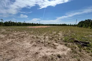 2096 Sellers Road NW, Baxley, GA 31513 - Photo 5