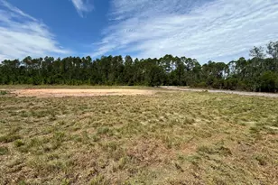 2096 Sellers Road NW, Baxley, GA 31513 - Photo 7